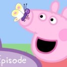 Frogs and Worms and Butterflies